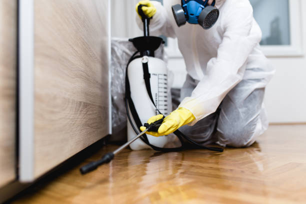 Best Pest Control Near Me  in Miles, TX