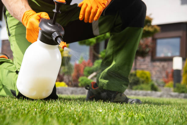 Best Termite Control Services  in Miles, TX