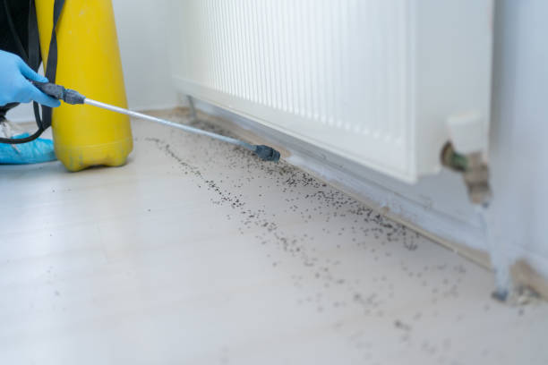 Best Pest Inspection Near Me  in Miles, TX